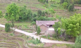 葬中吉地有什么征兆 葬中吉地的征兆