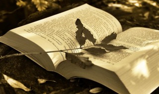 奇怪的怪是什么意思 奇怪的怪解释