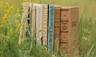 察组词 察怎么组词