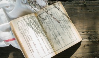 给对象讲的睡前小故事 给对象讲的睡前小故事是什么