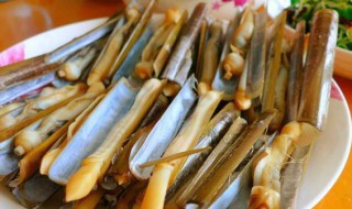 蛏子的内脏可以吃吗 蛏子的内脏能不能吃呢