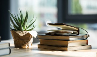 鱼跃龙门争上游木兰沙场除叛贼是什么意思 鱼跃龙门争上游木兰沙场除叛贼是属解释