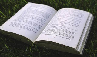 有骨气什么意思 有骨气解释