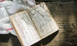 犍怎么读 犍字到底怎么读