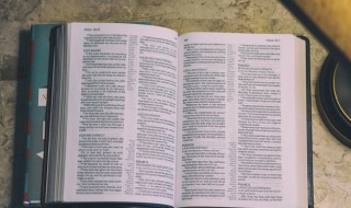 顿组词 顿怎么组词