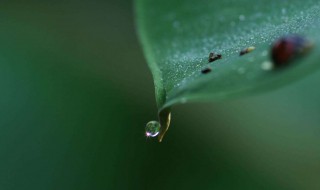 水的第四种形态含义是什么 水的第四种形态介绍