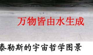泰勒斯认为万物之源是什么 关于泰勒斯认为万物之源是什么