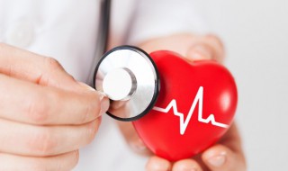 人体组成主要成分是什么 人体组成主要成分是什么东西