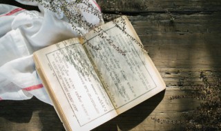 梓涵代表什么意思 梓涵代表啥意思