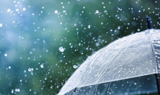 雨幕的幕是什么意思 雨幕的幕是啥意思