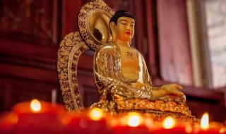 诸恶莫作众善奉行是什么意思 诸恶莫作众善奉行的意思