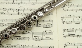 宫商角羽打一个成语是什么 宫商角羽打一个成语是啥