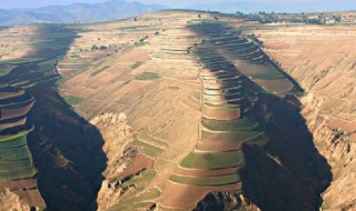 黄土高原的气候特点是什么 黄土高原的气候特点简述