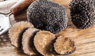 黑松露的目科属分别是什么 黑松露介绍