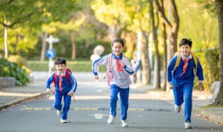 小学生政治面貌怎么填写才正确 怎么填写小学生政治面貌才正确