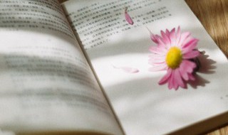 更为作朱墨别异中的更为怎样解释 更为作朱墨别异中的更为如何理解