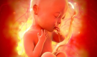 羊水是怎么形成的 羊水是如何形成的