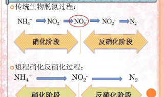 什么是硝化作用和反硝化作用 硝化作用和反硝化作用是什么