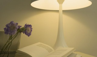 江流天地外下一句是什么 江流天地外的下一句