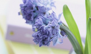 绝处逢生的绝的准确意思 绝处逢生的含义