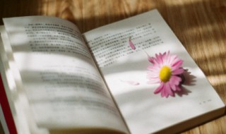 可望而不可及及的意思 可望而不可及的含义