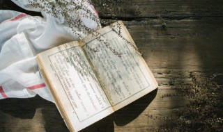 晁保正的保正是什么意思 晁保正的保正到底是什么意思？