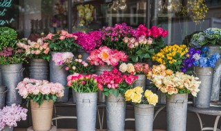 教师节送什么礼物最有意义 教师节送什么礼物