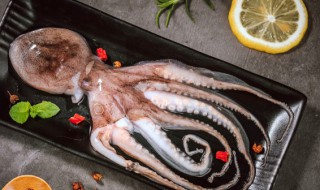 八爪鱼怎么清洗干净不腥 怎么清洗八爪鱼干净不腥