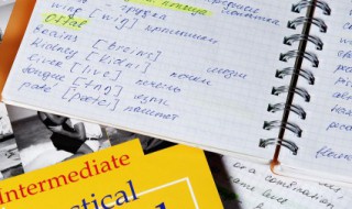 many怎么读 many读法