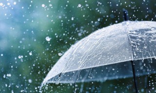 描写春雨的词语 描写春雨的词语有哪些