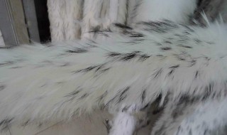 貉子绒怎么清洗干净 貉子绒清洗方法