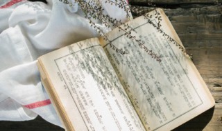 荗林修竹是什么意思 荗林修竹含义