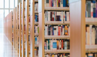 枉凝眉中的阆苑仙葩是什么意思 枉凝眉中的阆苑仙葩解释