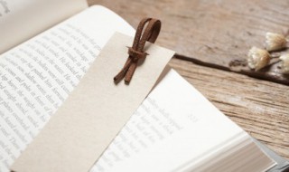 双兔傍地走的傍什么意思 双兔傍地走含义