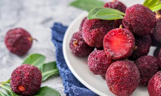 杨梅代表什么寓意 杨梅的寓意