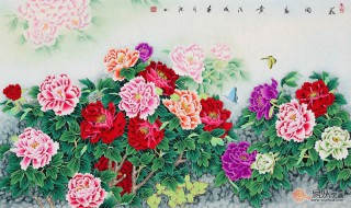 花开富贵寓意和象征 花开富贵有什么寓意