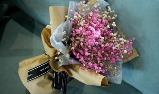 满天星为什么比玫瑰贵 满天星为啥比玫瑰贵