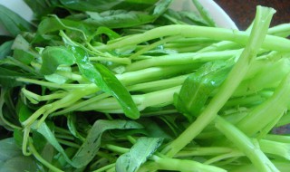 藤藤菜越冬保存技术 藤藤菜的越冬保存方法