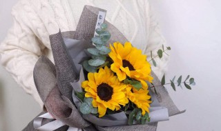 3朵向日葵代表什么意思 3朵向日葵代表的含义