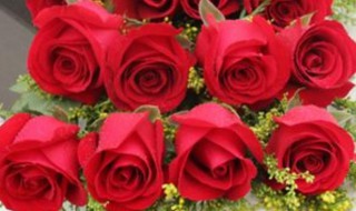 12支红玫瑰的含义 12支红玫瑰的含义介绍