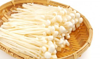 切下来的金针菇根怎么种 切下来的金针菇根种植方法