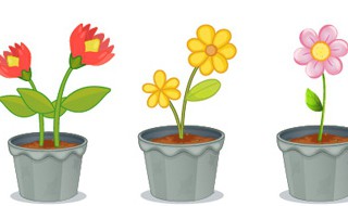 小盆栽长不大的植物有哪些 小盆栽长不大的植物有什么