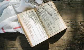 烧组词 烧组词有哪些