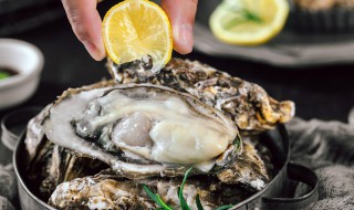 二倍体生蚝是什么意思 二倍体生蚝说的是什么