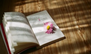 裙组词 裙怎么组词