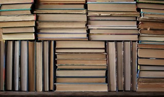 捉组词 捉怎么组词