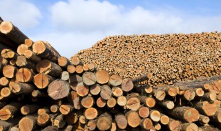 材组词 材组词介绍