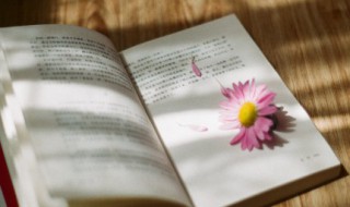 旗鼓相当的当什么意思 旗鼓相当的解释