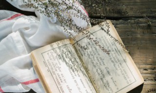 偏心的意思是什么意思 偏心解释