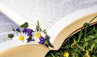 捧腹大笑的意思和驰名的意思 捧腹大笑和驰名的解释